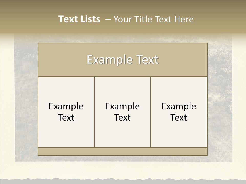 Army Retro Defending PowerPoint Template
