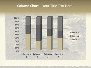 Army Retro Defending PowerPoint Template