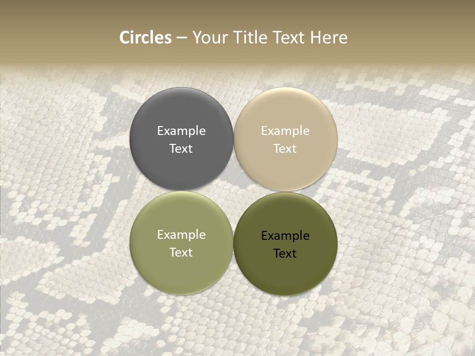 Abstract Pricey Reptile PowerPoint Template