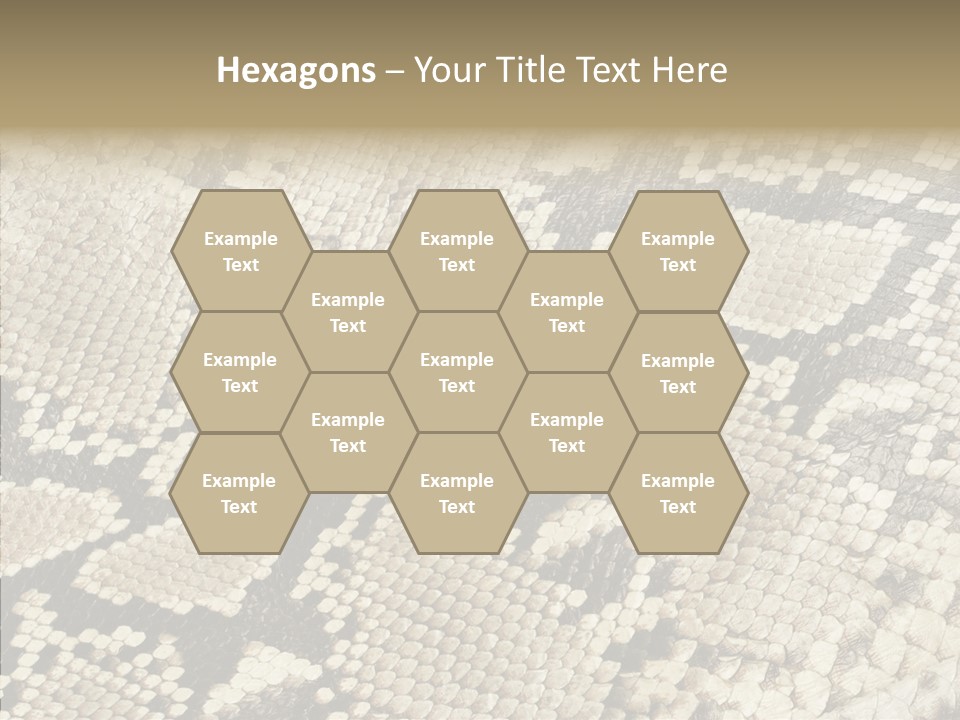 Abstract Pricey Reptile PowerPoint Template