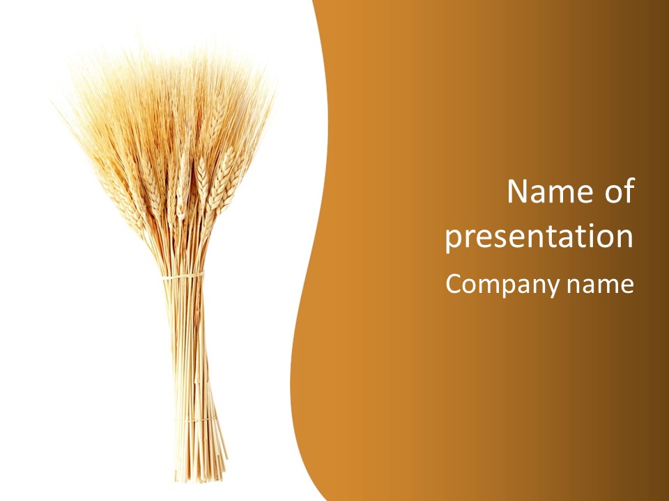 Barley Grain Oat PowerPoint Template