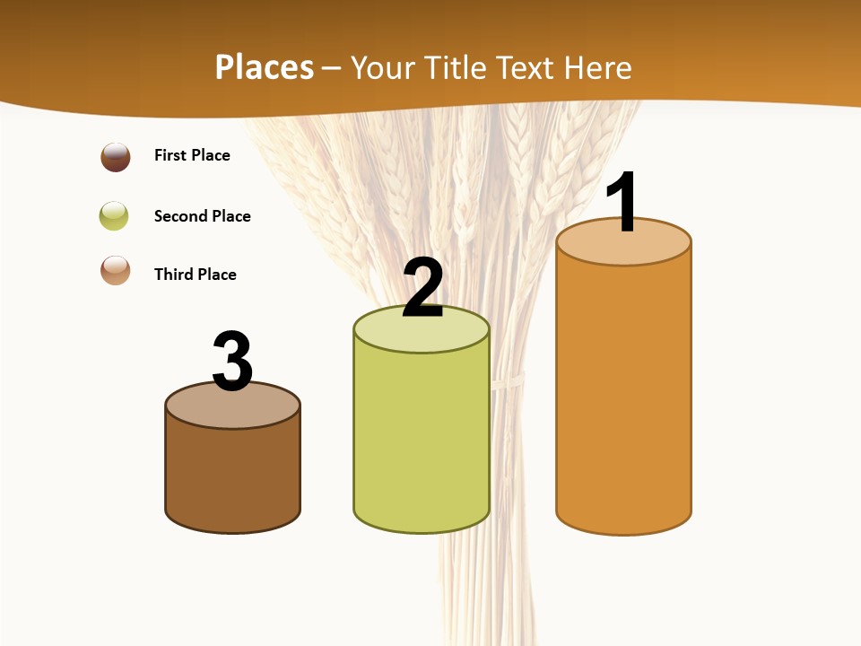 Barley Grain Oat PowerPoint Template