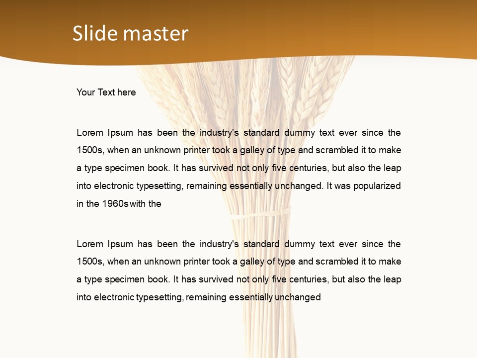Barley Grain Oat PowerPoint Template