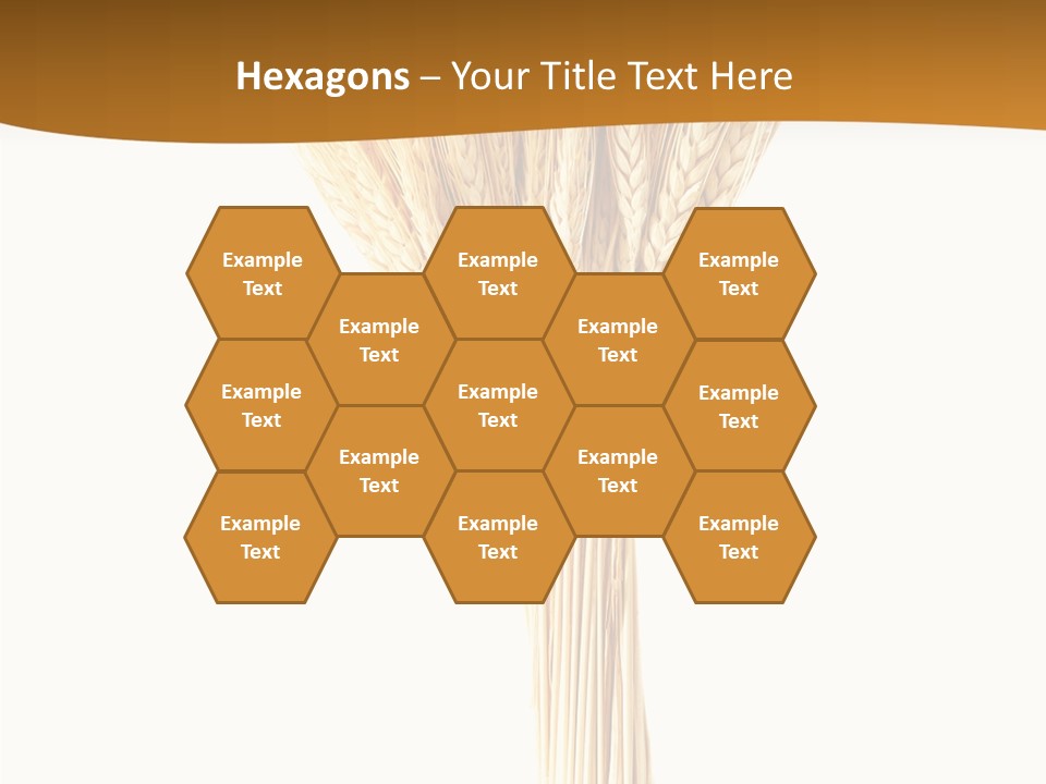 Barley Grain Oat PowerPoint Template