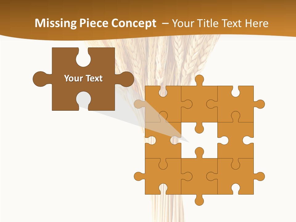 Barley Grain Oat PowerPoint Template