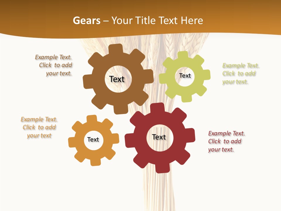 Barley Grain Oat PowerPoint Template