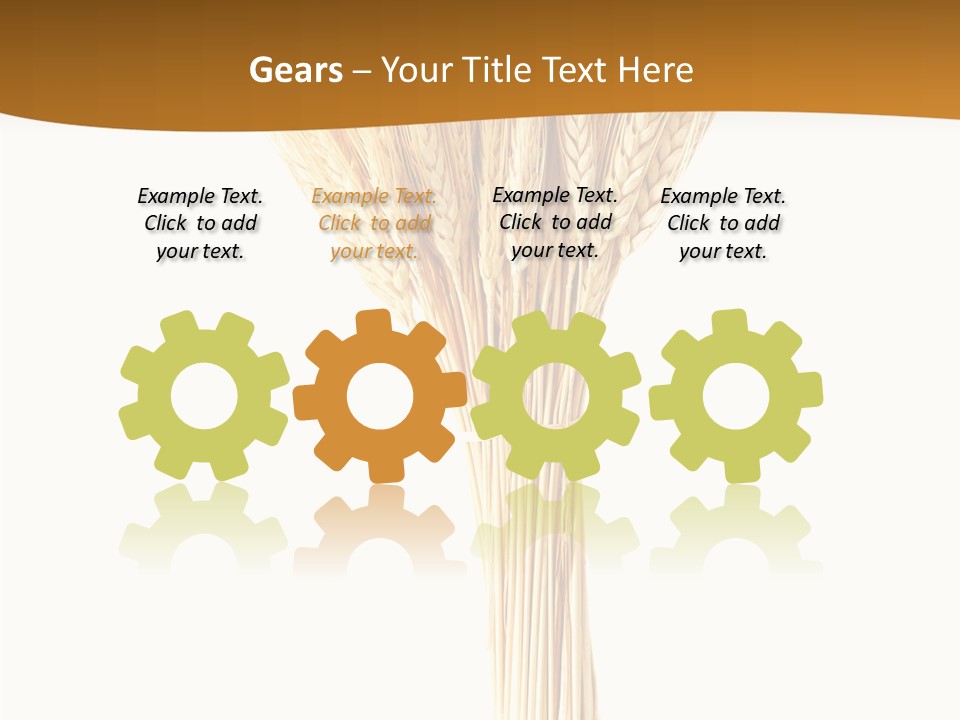 Barley Grain Oat PowerPoint Template