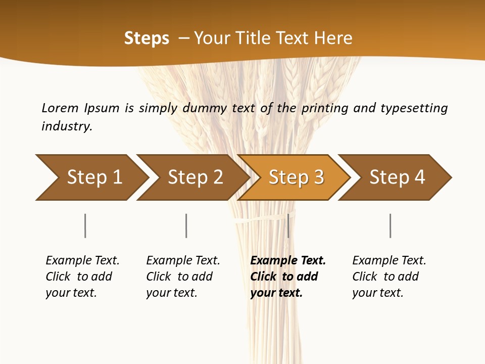 Barley Grain Oat PowerPoint Template