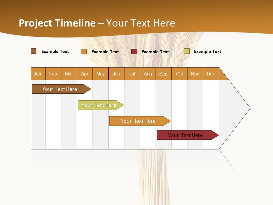 Barley Grain Oat PowerPoint Template