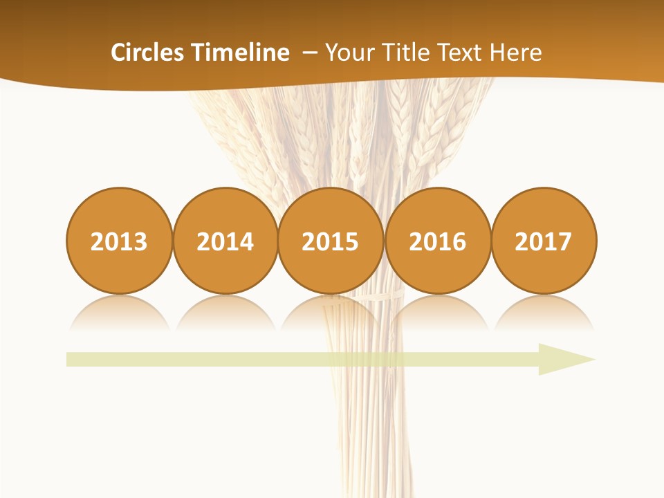 Barley Grain Oat PowerPoint Template