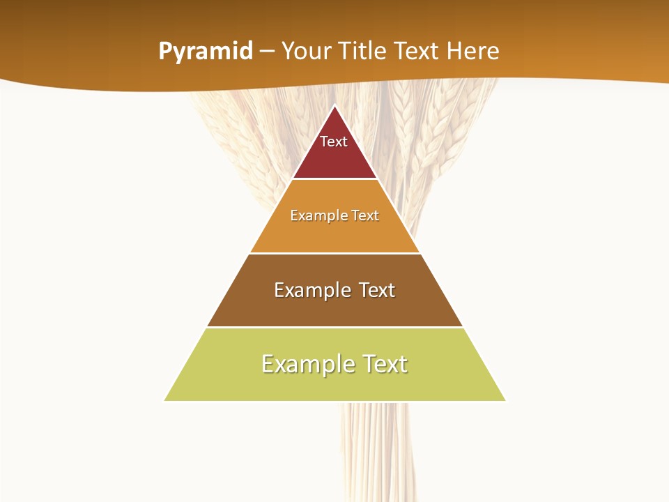 Barley Grain Oat PowerPoint Template