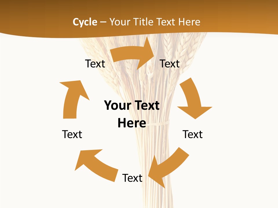 Barley Grain Oat PowerPoint Template