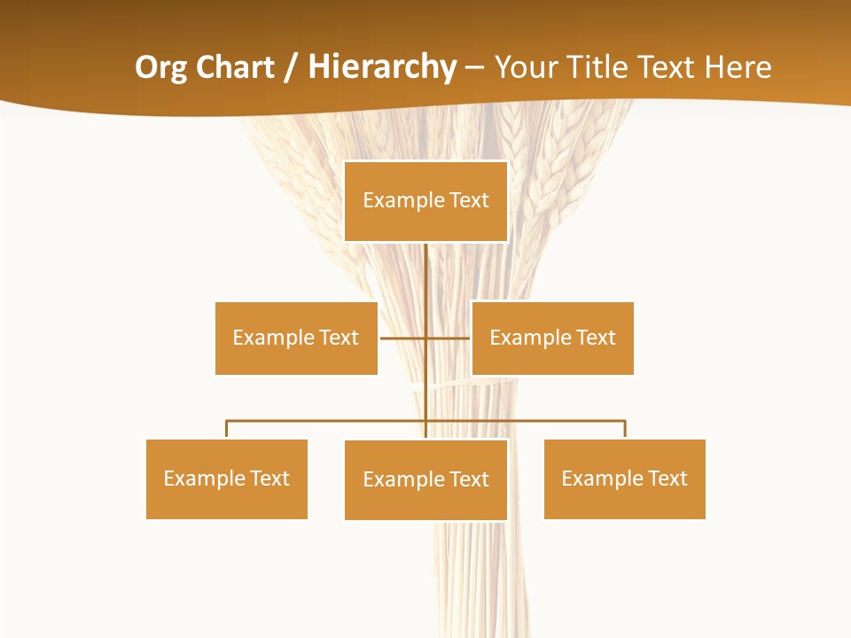 Barley Grain Oat PowerPoint Template