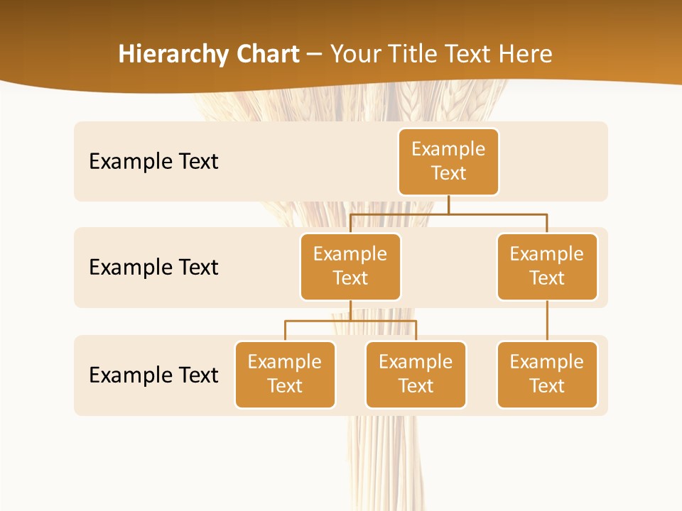 Barley Grain Oat PowerPoint Template