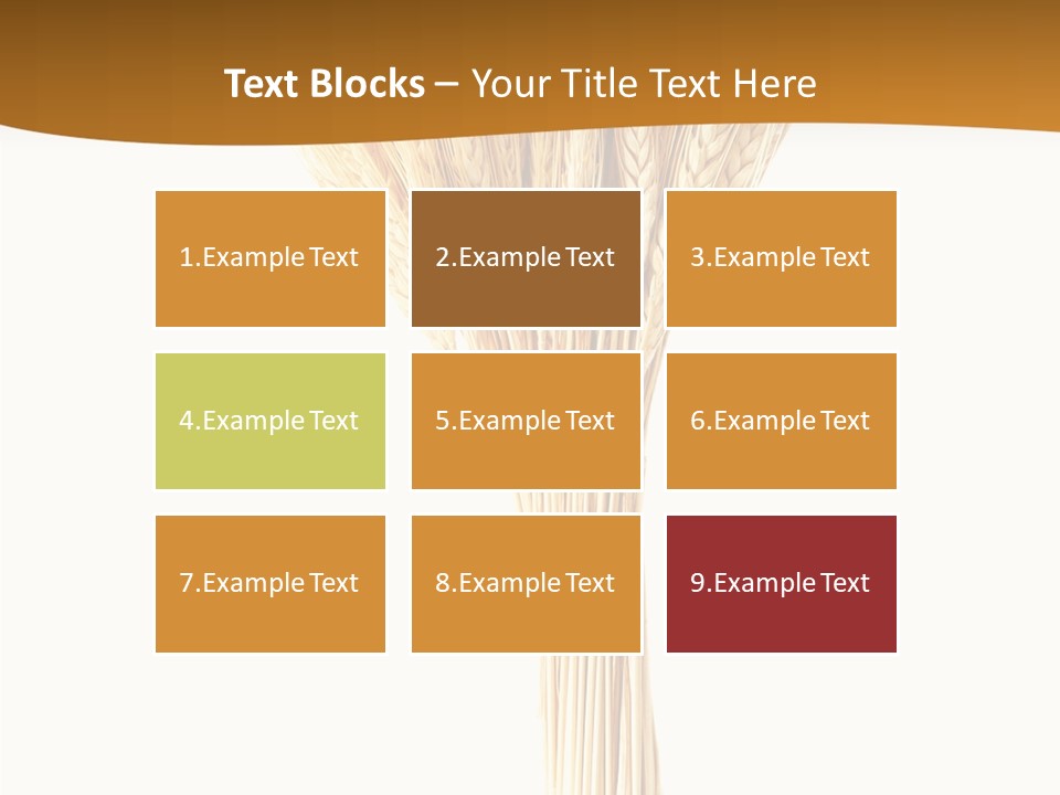 Barley Grain Oat PowerPoint Template