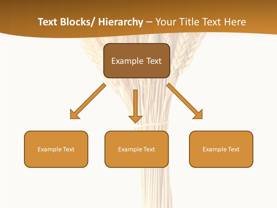 Barley Grain Oat PowerPoint Template