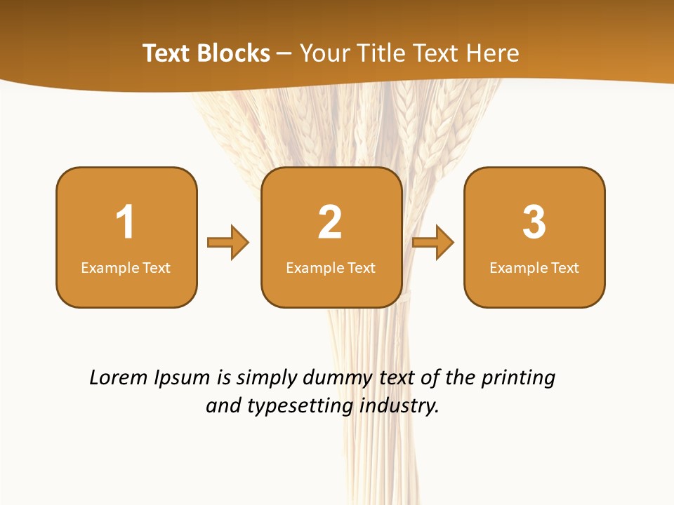Barley Grain Oat PowerPoint Template