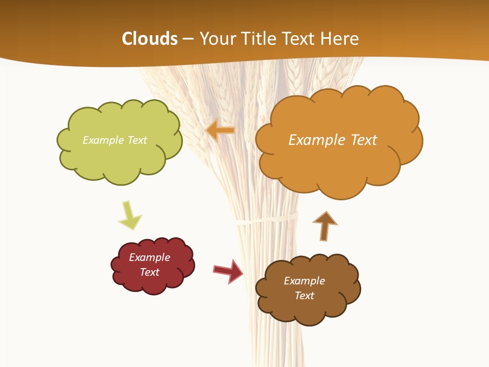 Barley Grain Oat PowerPoint Template