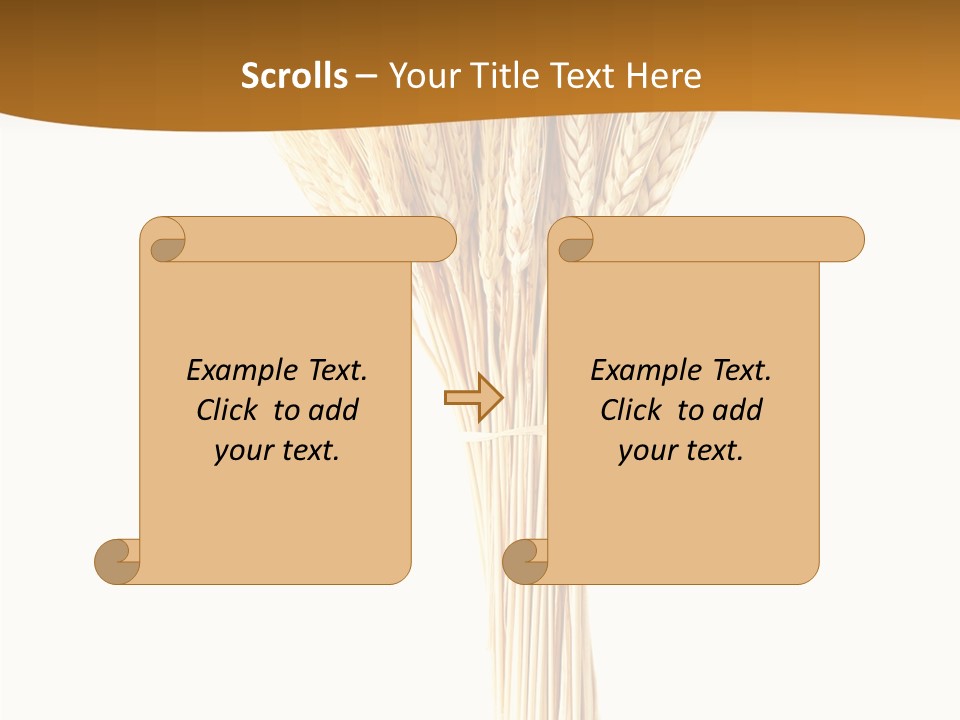 Barley Grain Oat PowerPoint Template