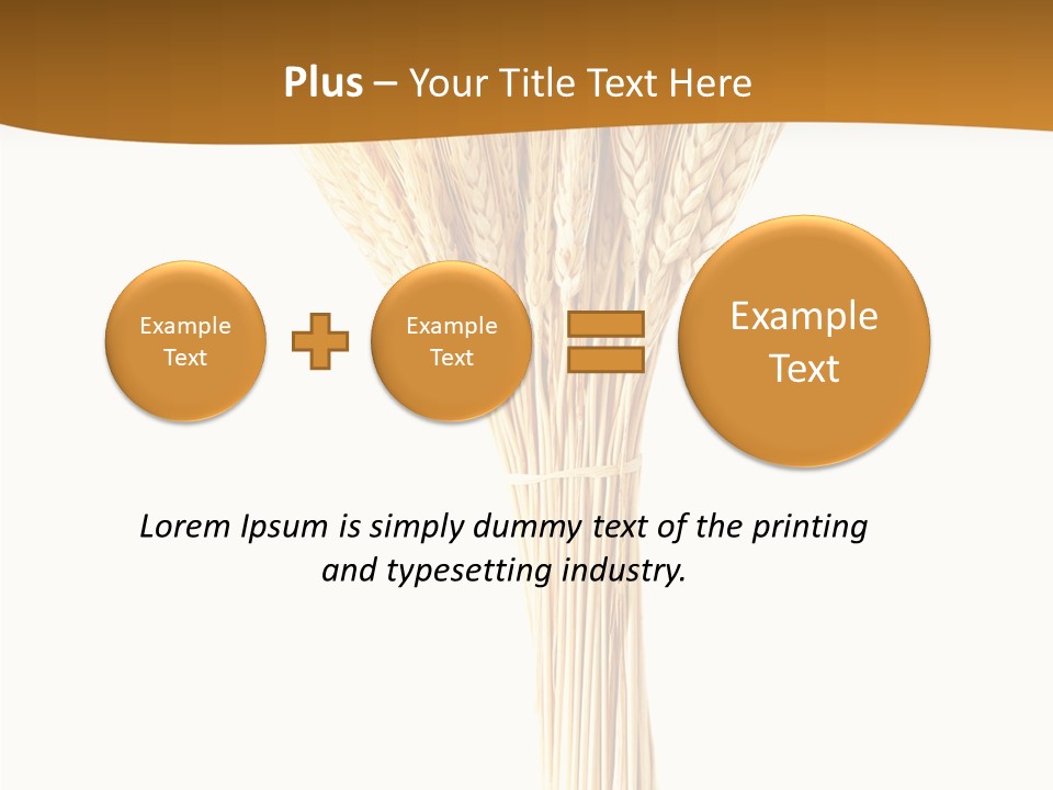 Barley Grain Oat PowerPoint Template