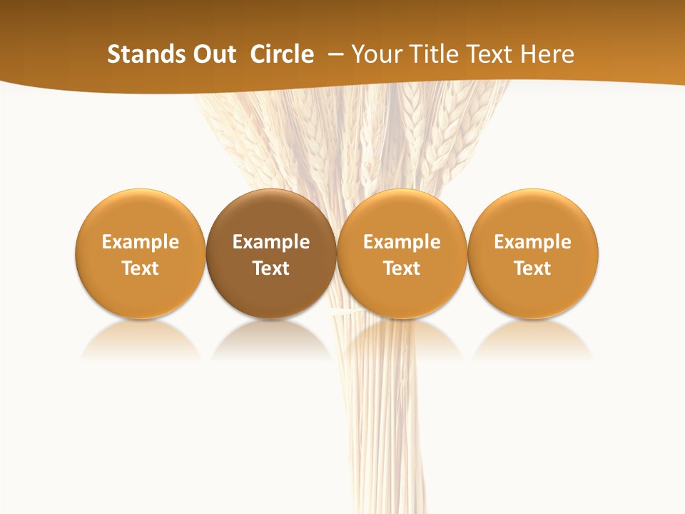Barley Grain Oat PowerPoint Template