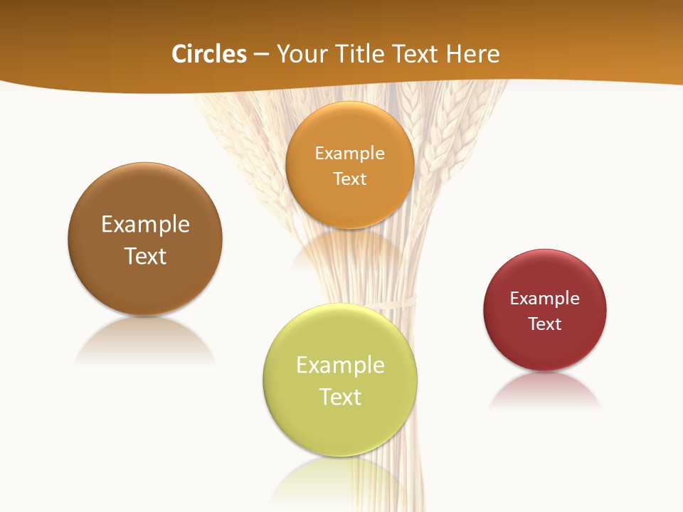 Barley Grain Oat PowerPoint Template