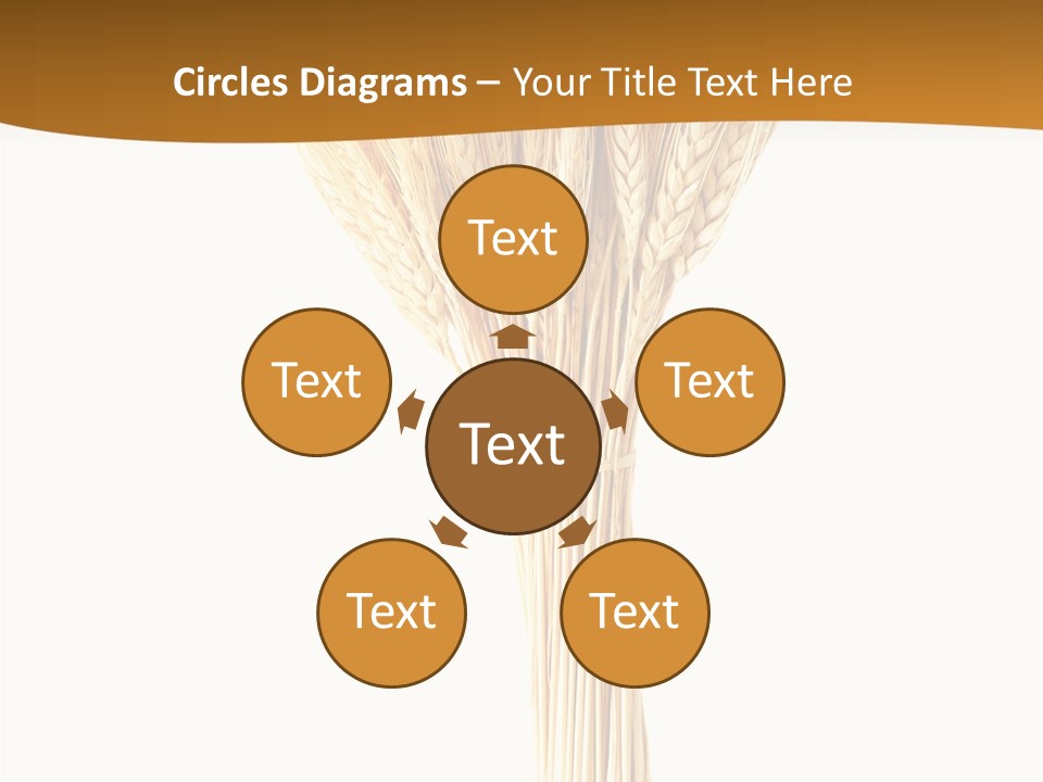 Barley Grain Oat PowerPoint Template