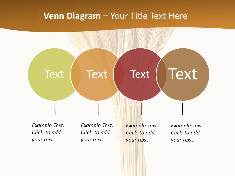 Barley Grain Oat PowerPoint Template