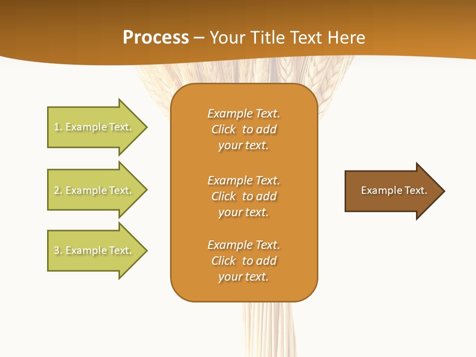 Barley Grain Oat PowerPoint Template