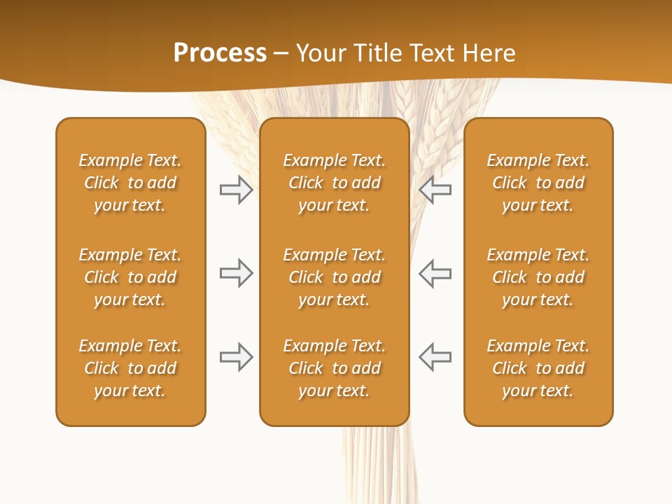 Barley Grain Oat PowerPoint Template