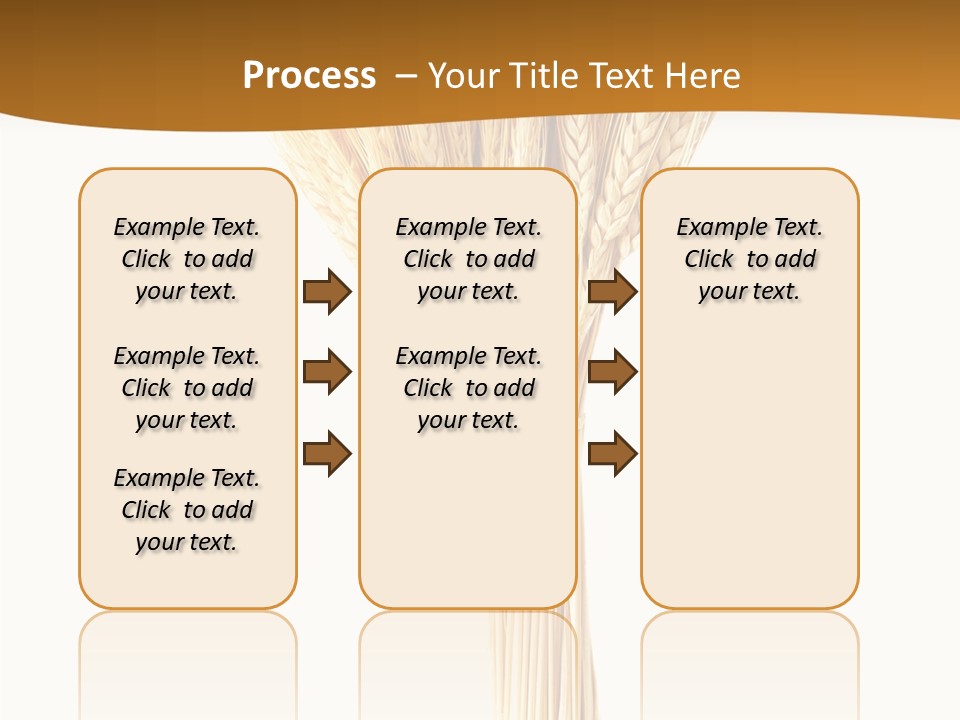 Barley Grain Oat PowerPoint Template