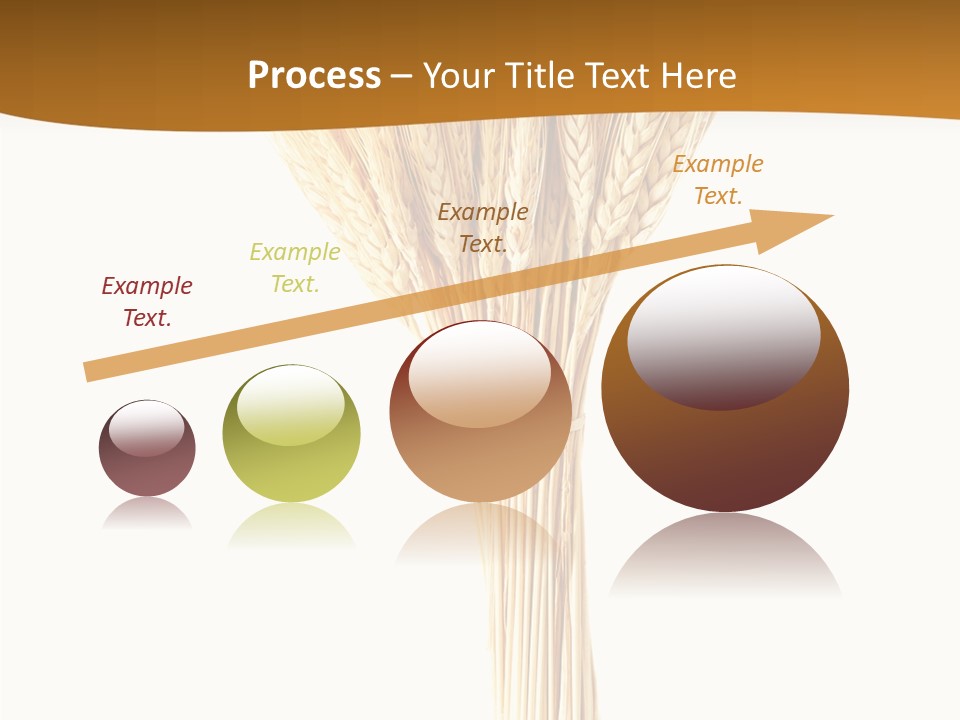 Barley Grain Oat PowerPoint Template