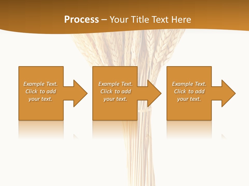 Barley Grain Oat PowerPoint Template