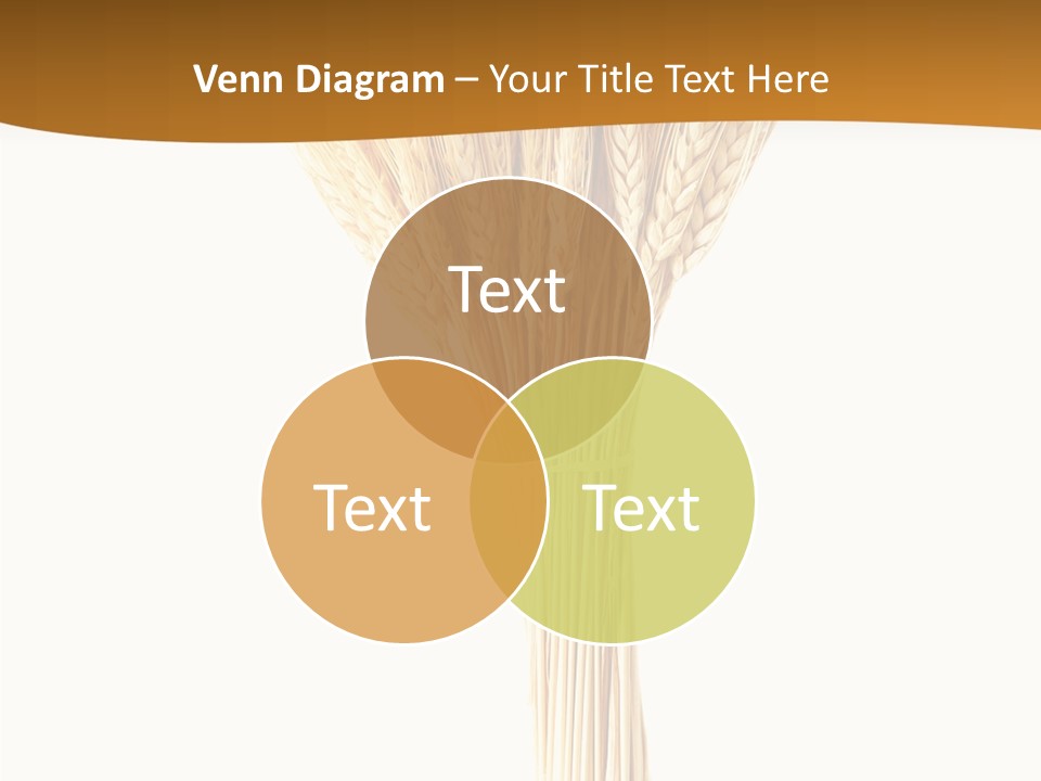 Barley Grain Oat PowerPoint Template