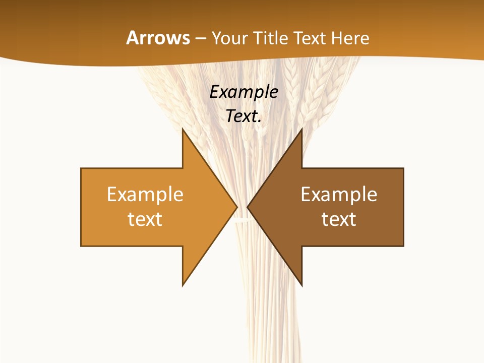 Barley Grain Oat PowerPoint Template