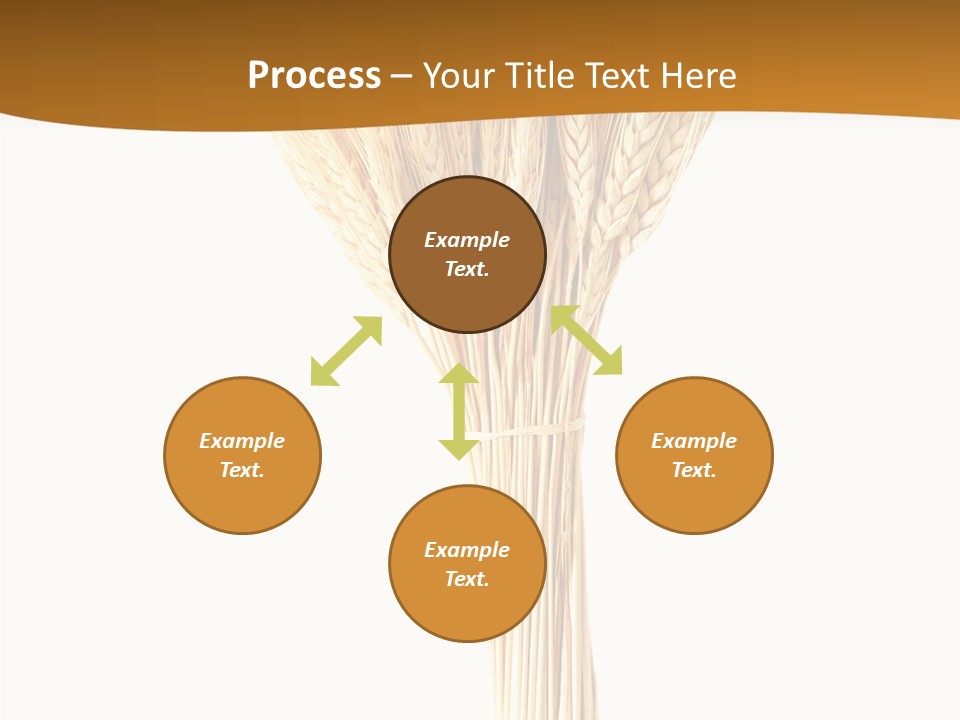 Barley Grain Oat PowerPoint Template