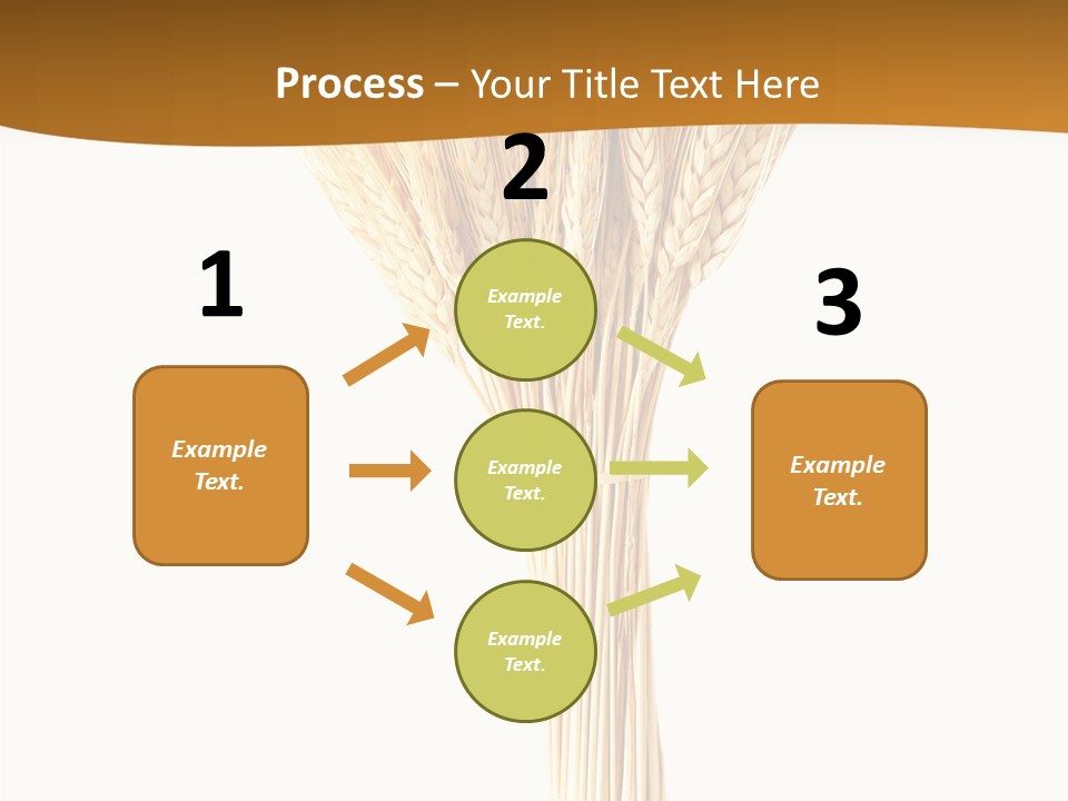 Barley Grain Oat PowerPoint Template