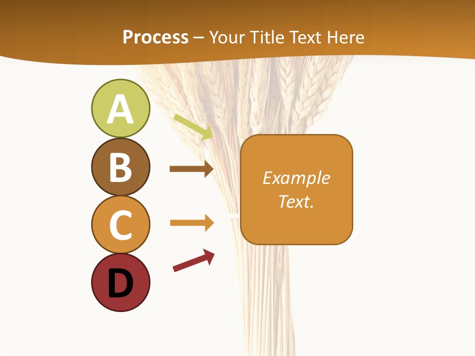 Barley Grain Oat PowerPoint Template