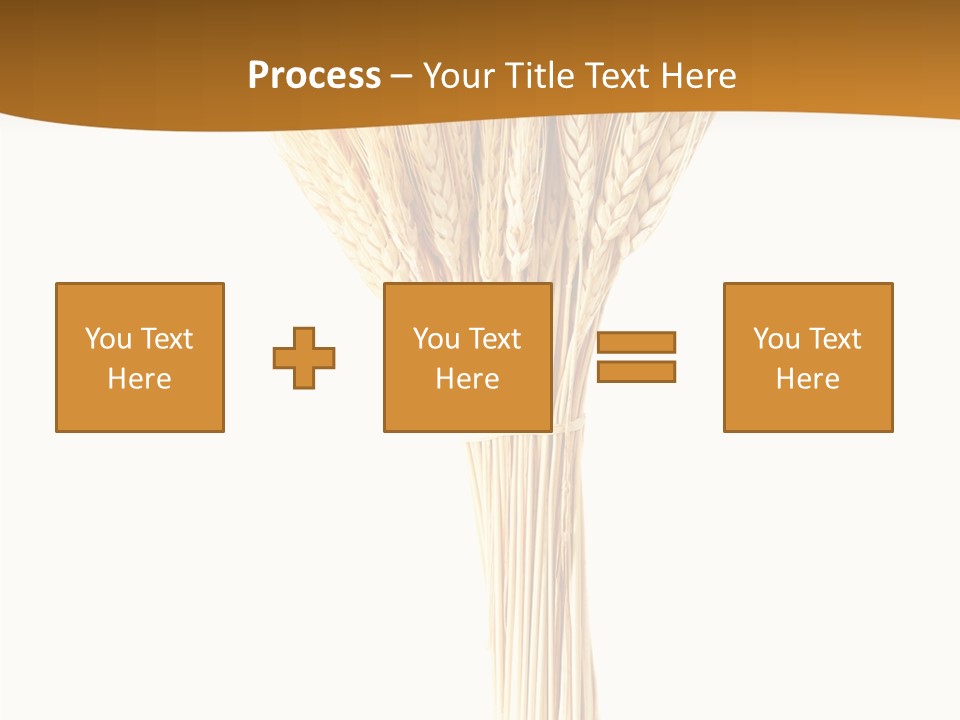 Barley Grain Oat PowerPoint Template