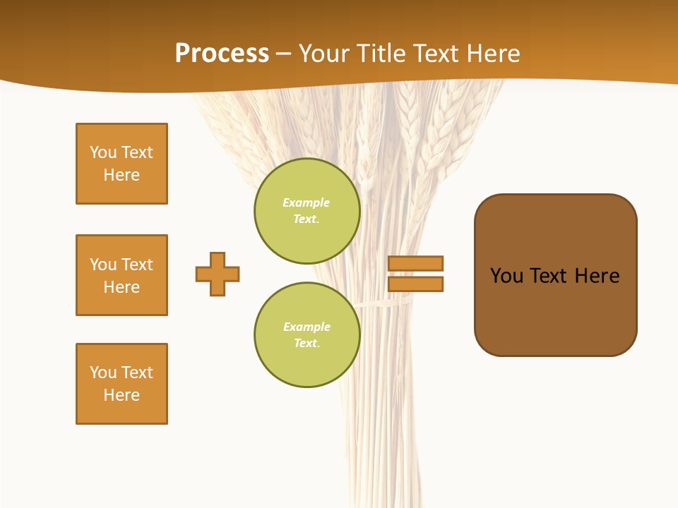 Barley Grain Oat PowerPoint Template