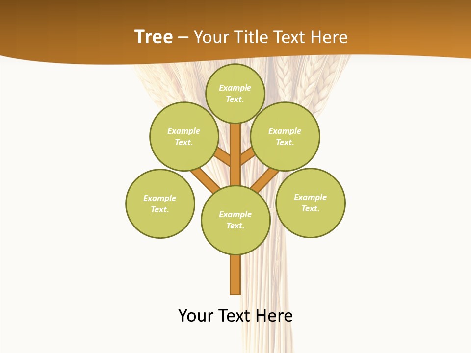 Barley Grain Oat PowerPoint Template