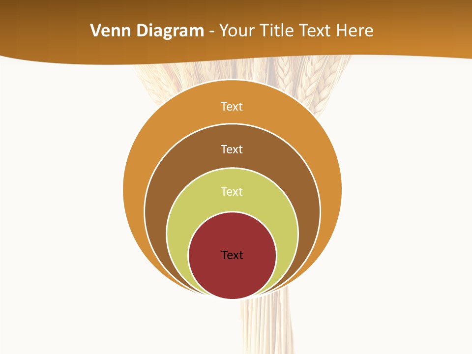 Barley Grain Oat PowerPoint Template