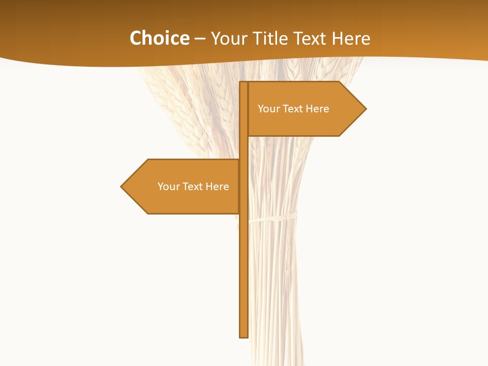 Barley Grain Oat PowerPoint Template