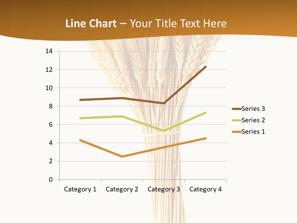 Barley Grain Oat PowerPoint Template
