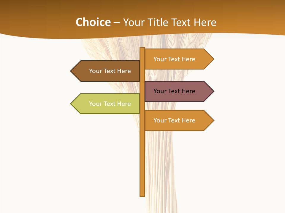 Barley Grain Oat PowerPoint Template