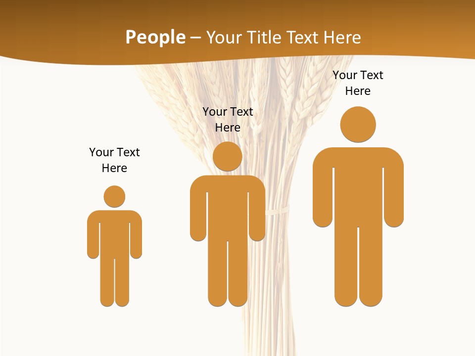 Barley Grain Oat PowerPoint Template