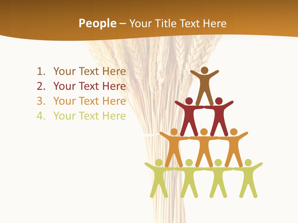 Barley Grain Oat PowerPoint Template