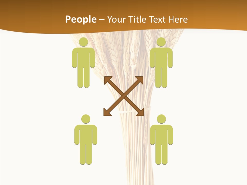 Barley Grain Oat PowerPoint Template