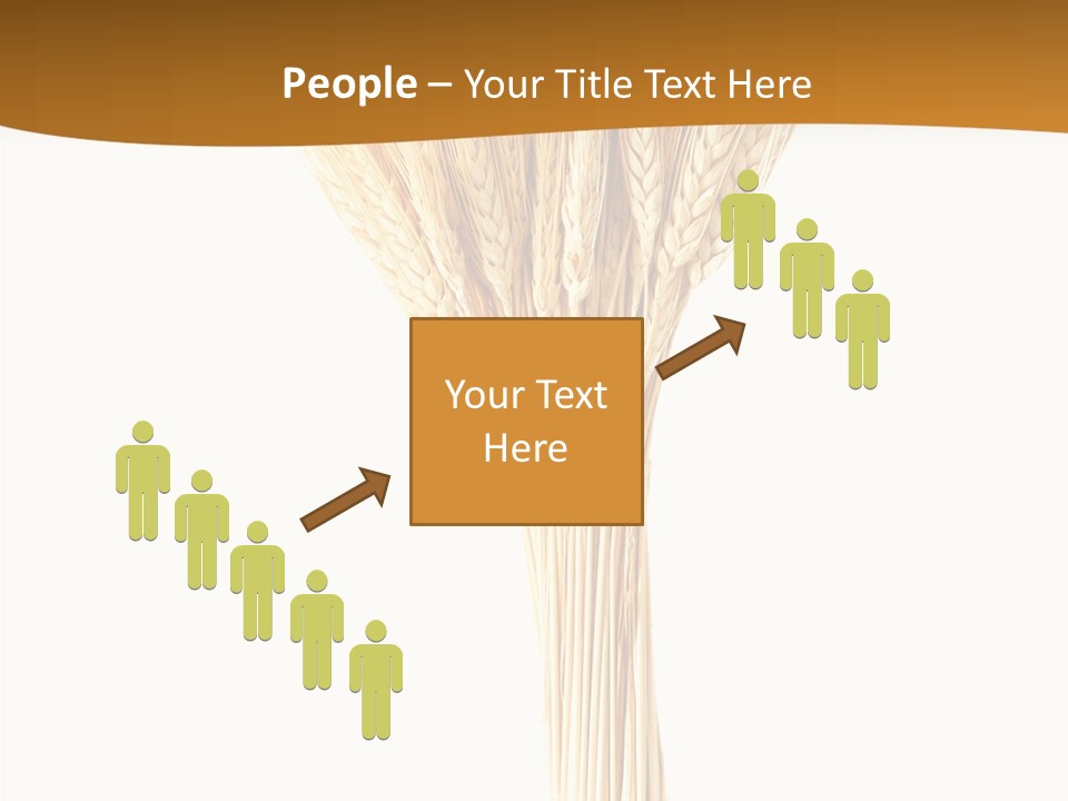 Barley Grain Oat PowerPoint Template