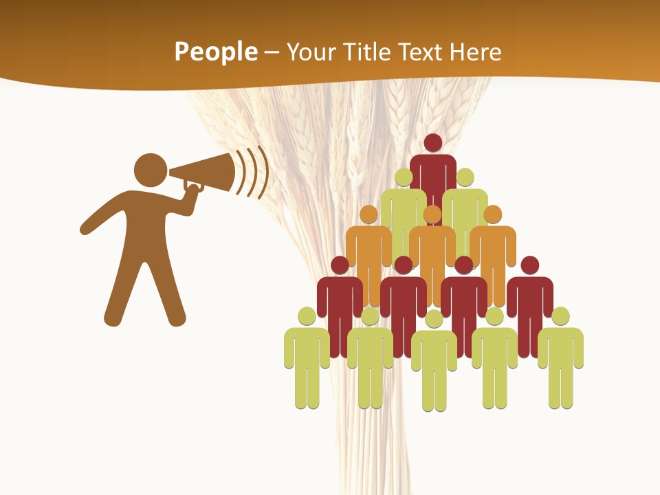 Barley Grain Oat PowerPoint Template